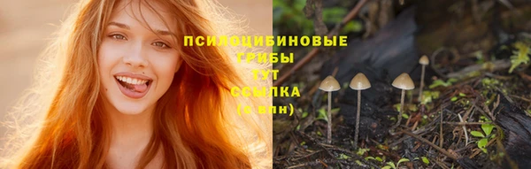 тгк Волосово