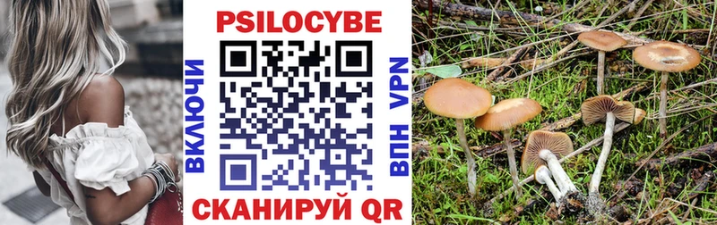 Галлюциногенные грибы прущие грибы  Купить закладки  Чадан 